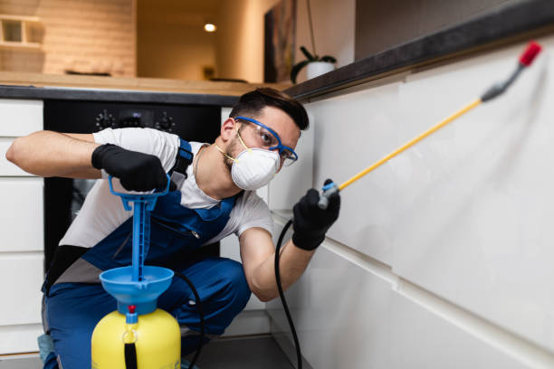 Best Termite Control Services  in Dousman, WI