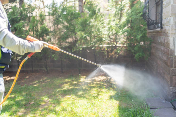 Reliable Dousman, WI Pest Control Solutions