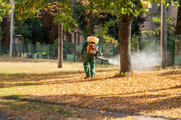 Best Rat Extermination Near Me  in Dousman, WI