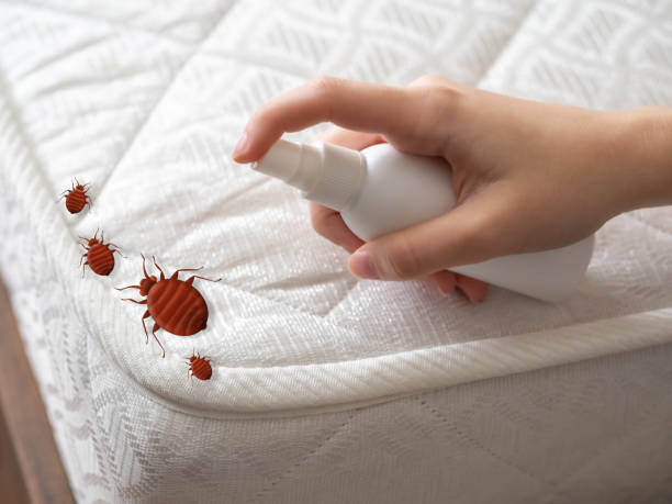 Best Pest Control Near Me in Dousman, WI